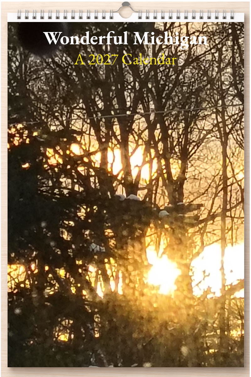 Wonderful Michigan: A 2027 Calendar