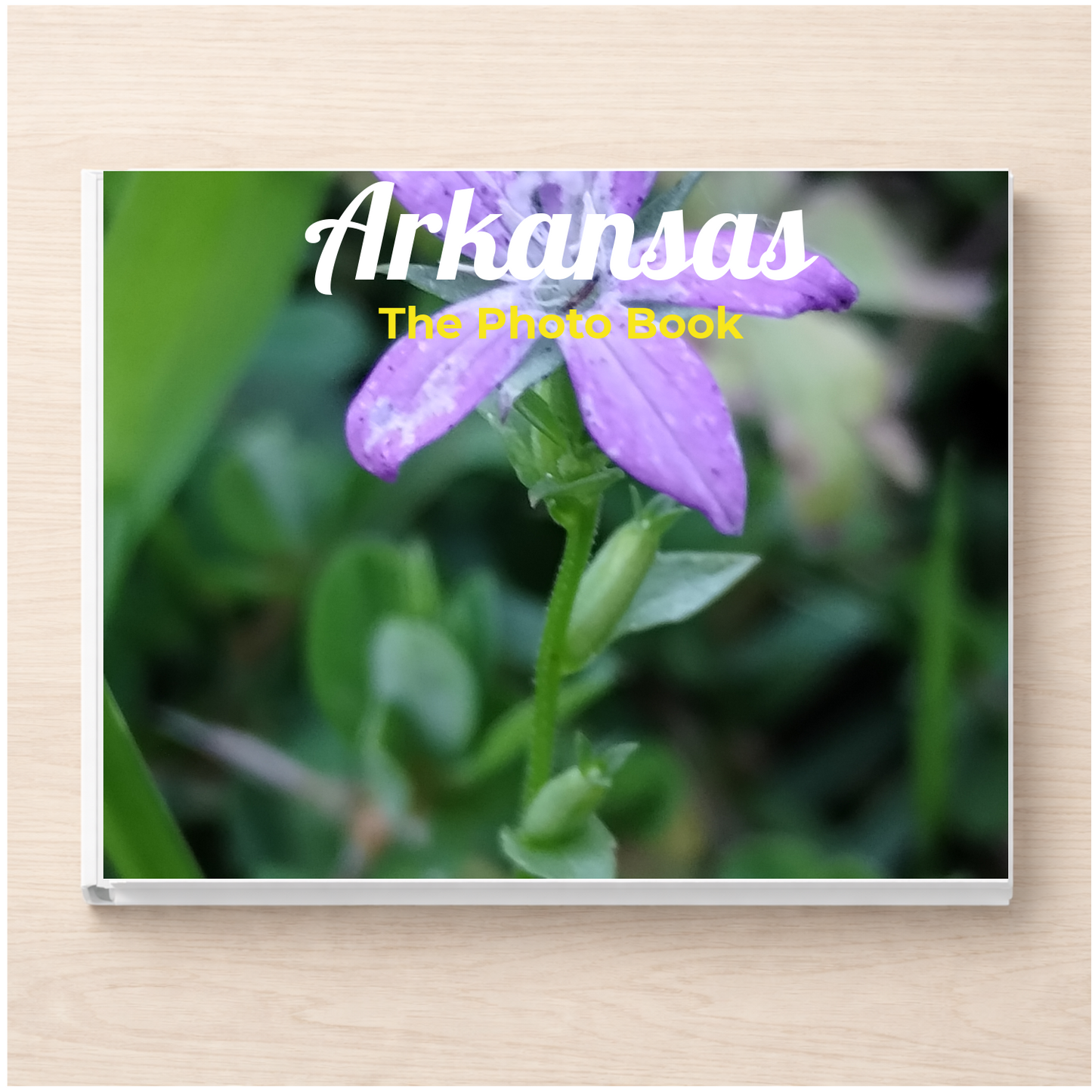 Arkansas: The Photo Book