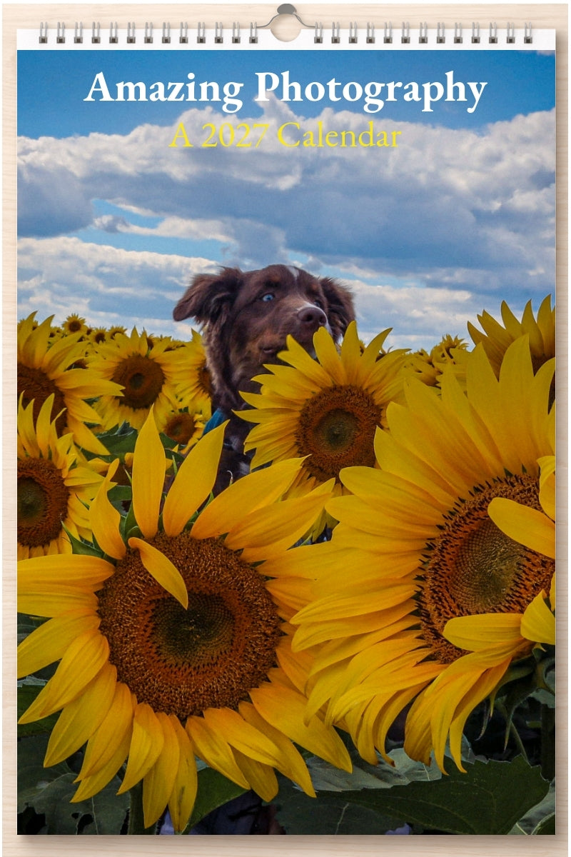 Amazing Photography: A 2027 Calendar