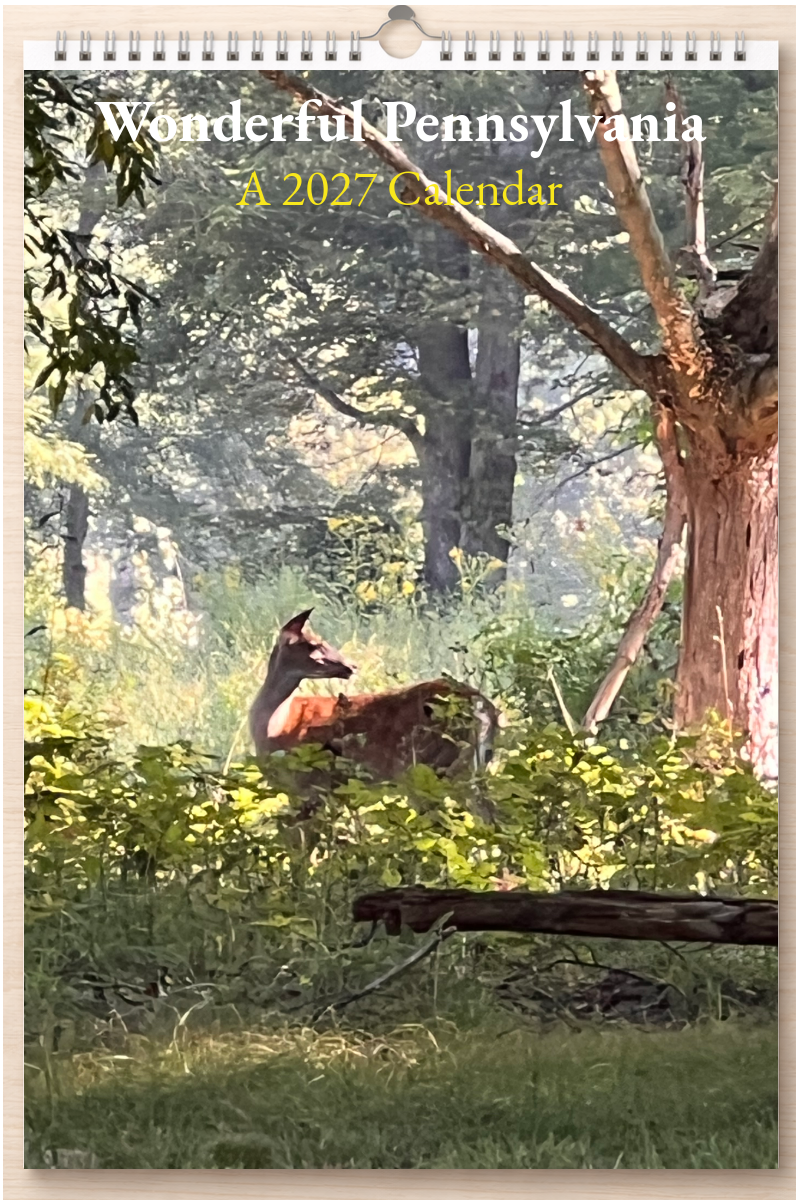 Wonderful Pennsylvania: A 2027 Calendar