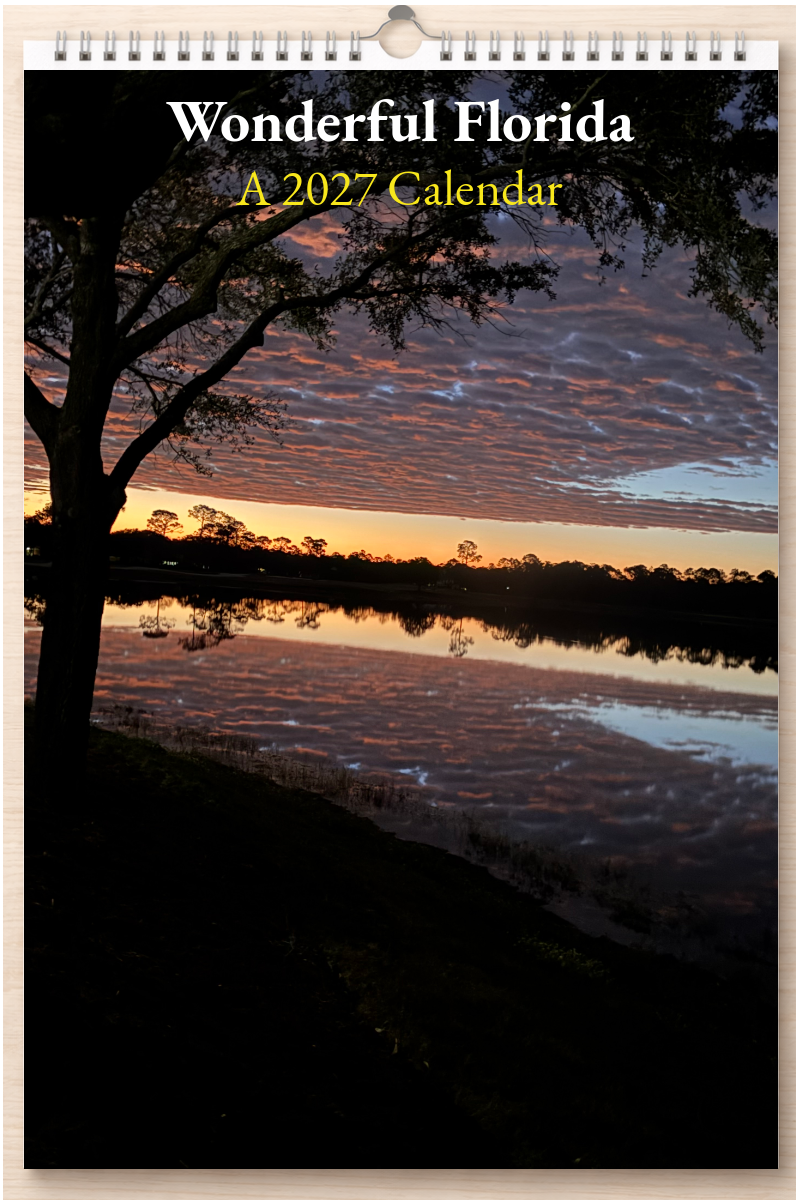 Wonderful Florida: A 2027 Calendar