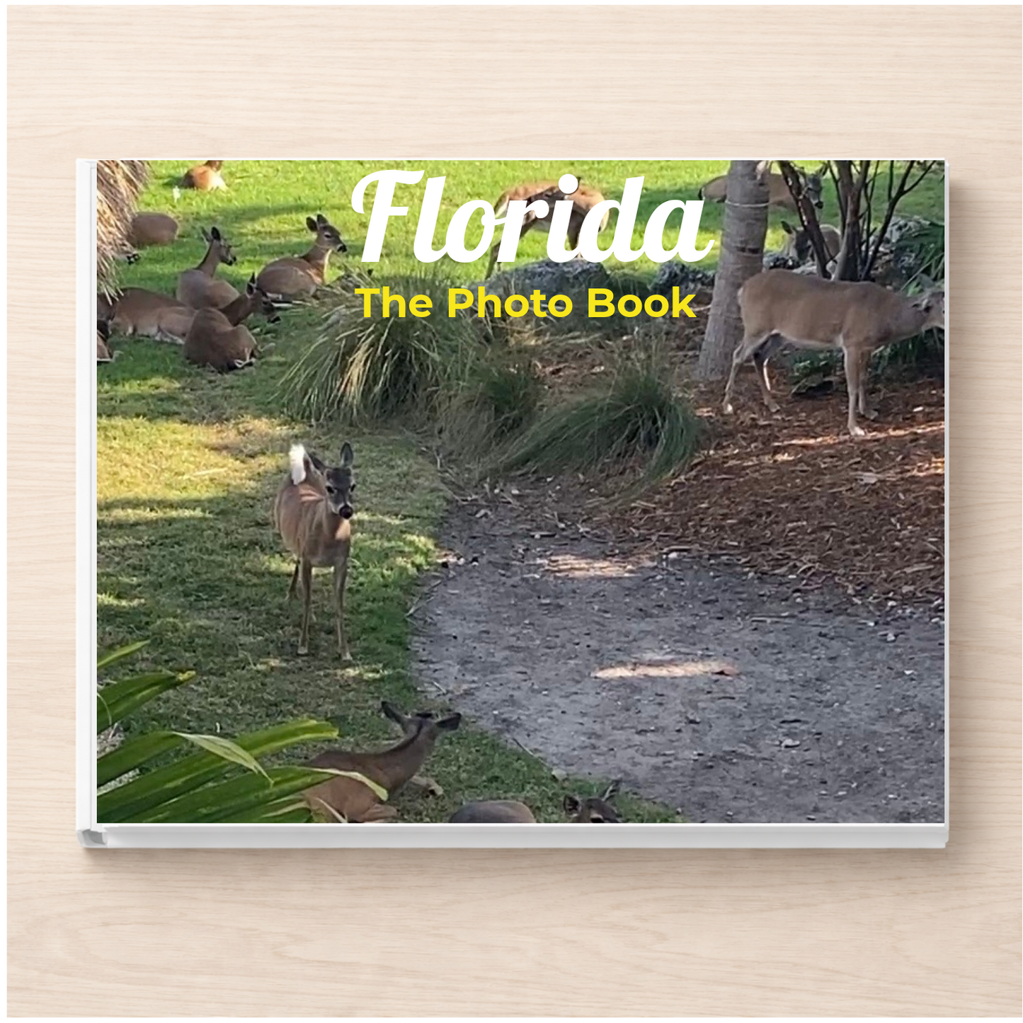 Florida: The Photo Book