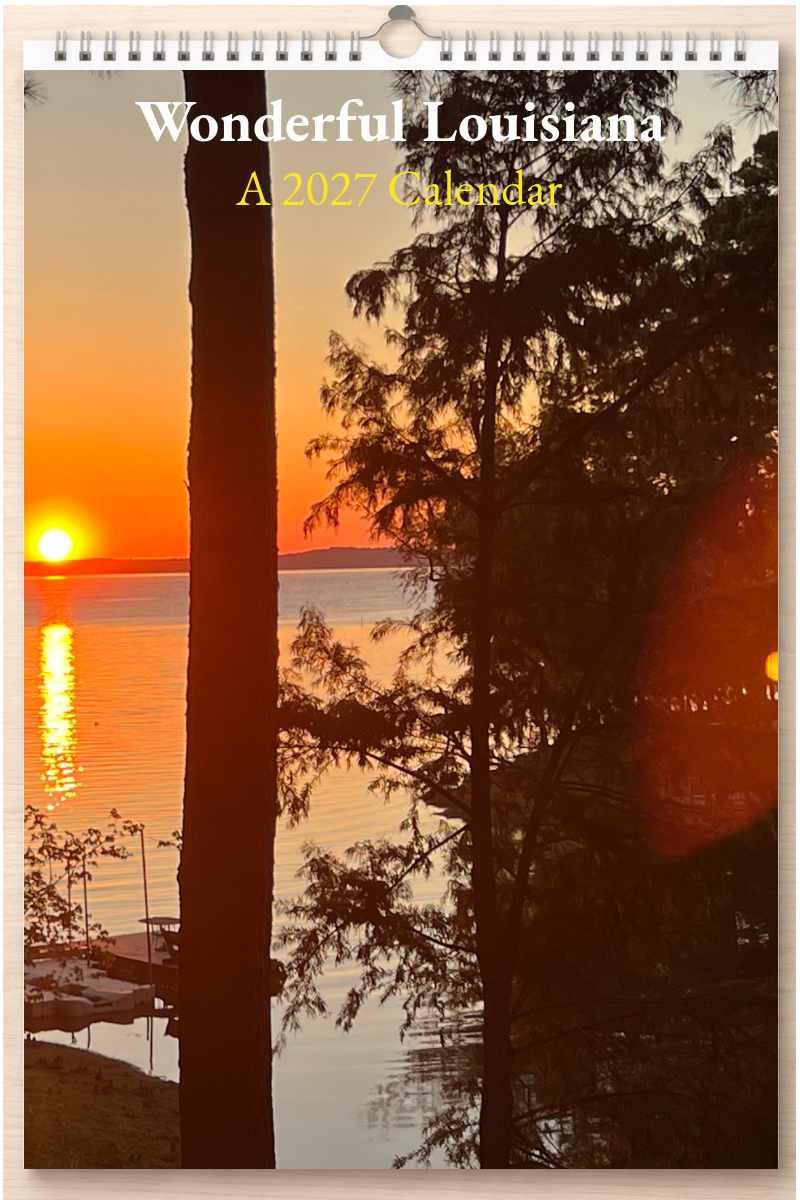 Wonderful Louisiana: A 2027 Calendar