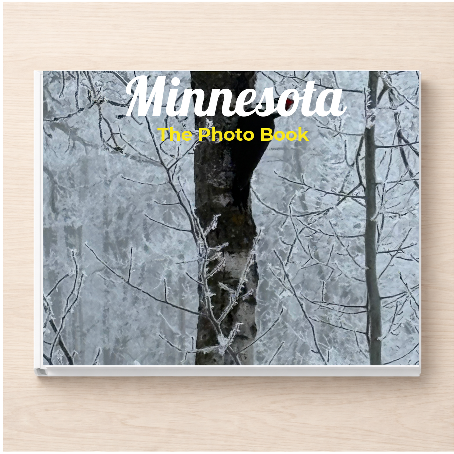 Minnesota: The Photo Book
