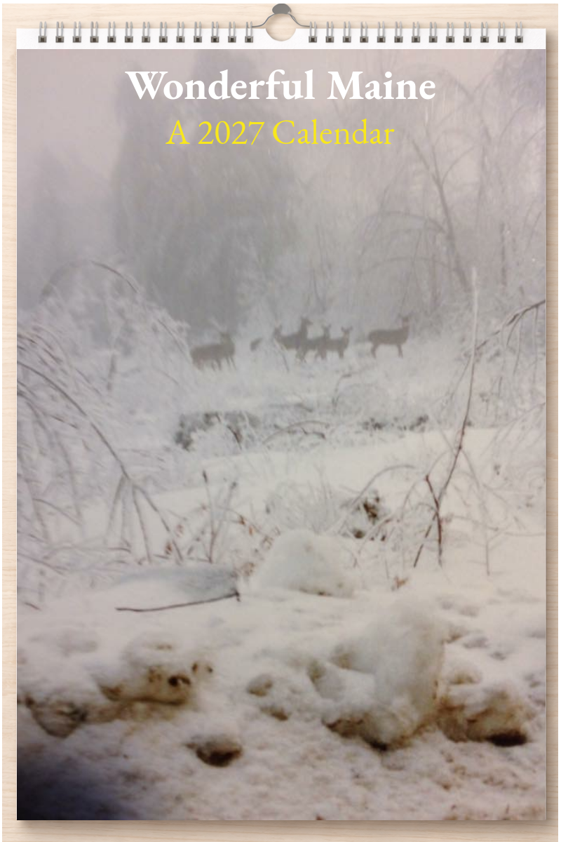 Wonderful Maine: A 2027 Calendar
