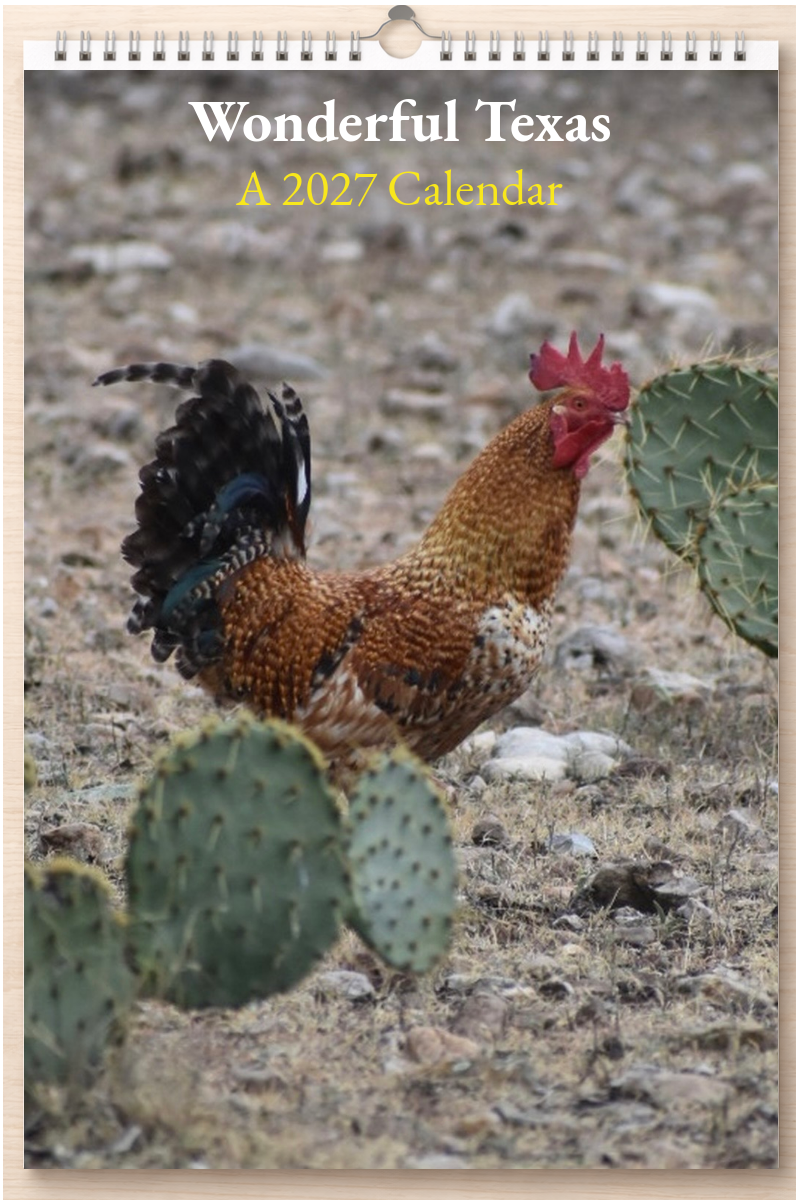 Wonderful Texas: A 2027 Calendar
