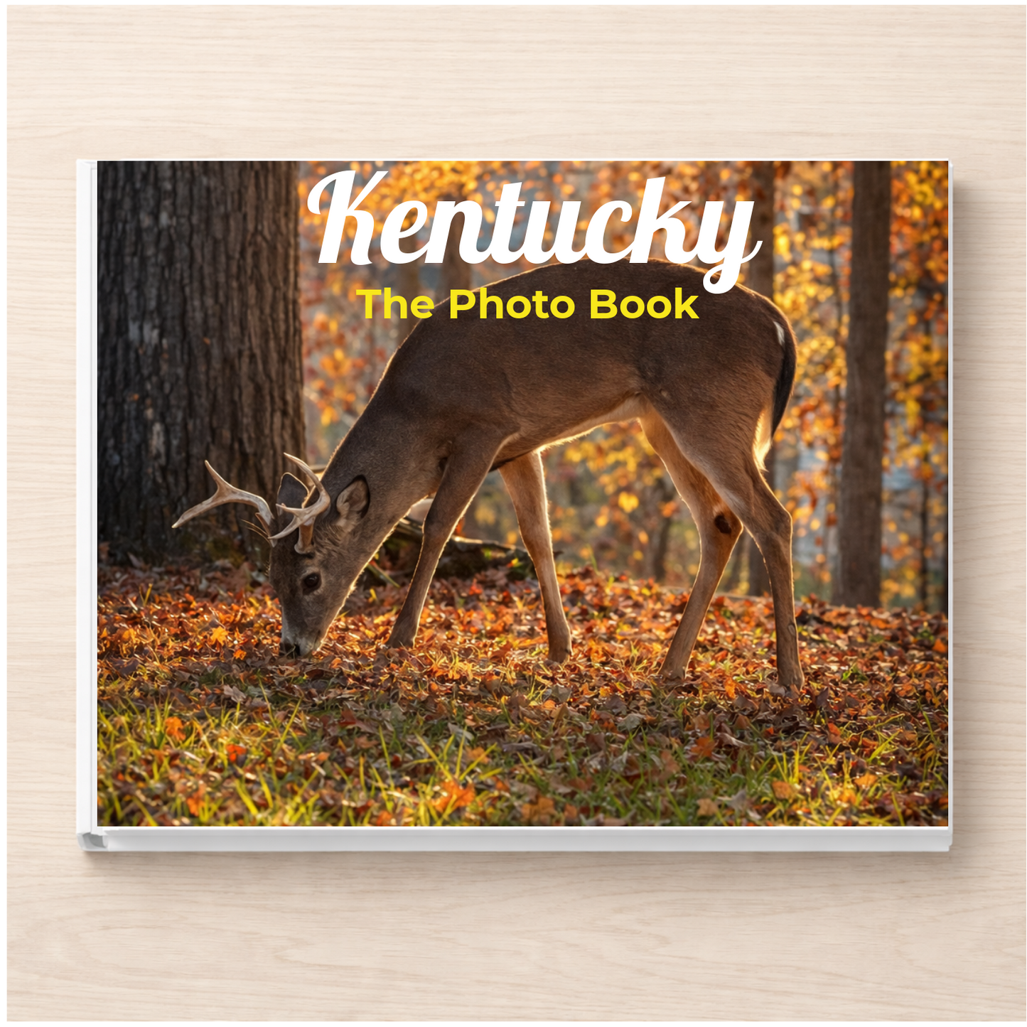 Kentucky: The Photo Book