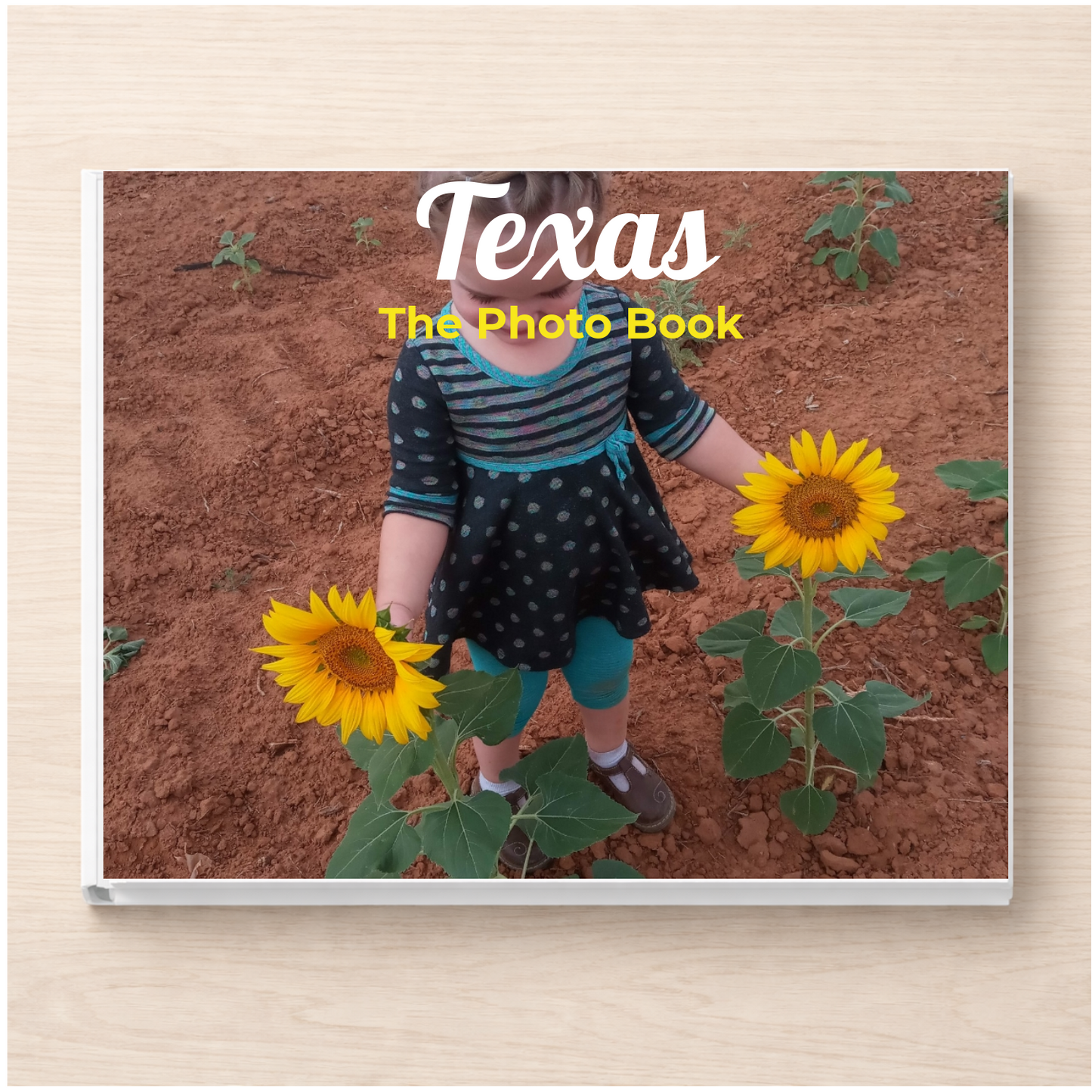 Texas: The Photo Book