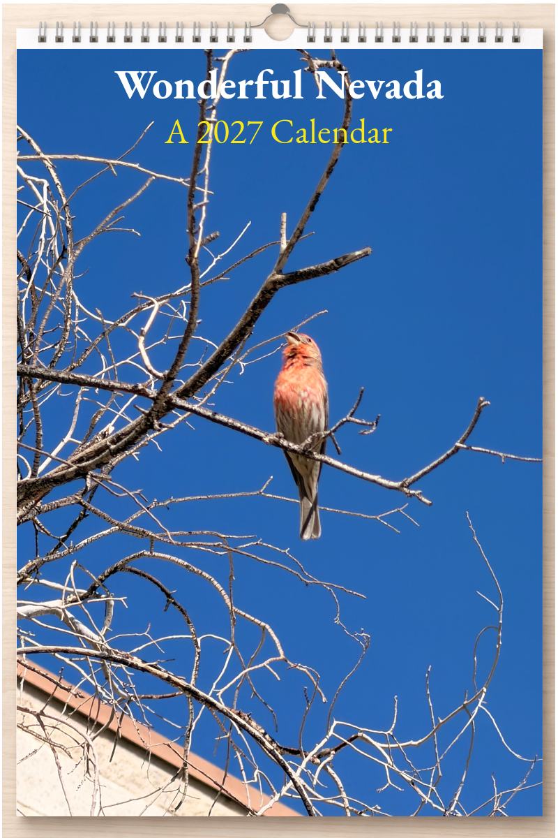 Wonderful Nevada: A 2027 Calendar