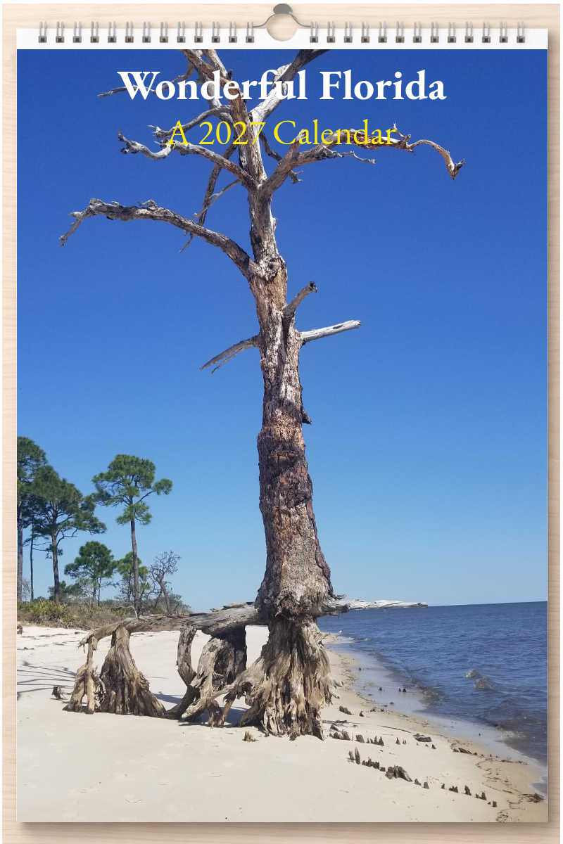 Wonderful Florida: A 2027 Calendar
