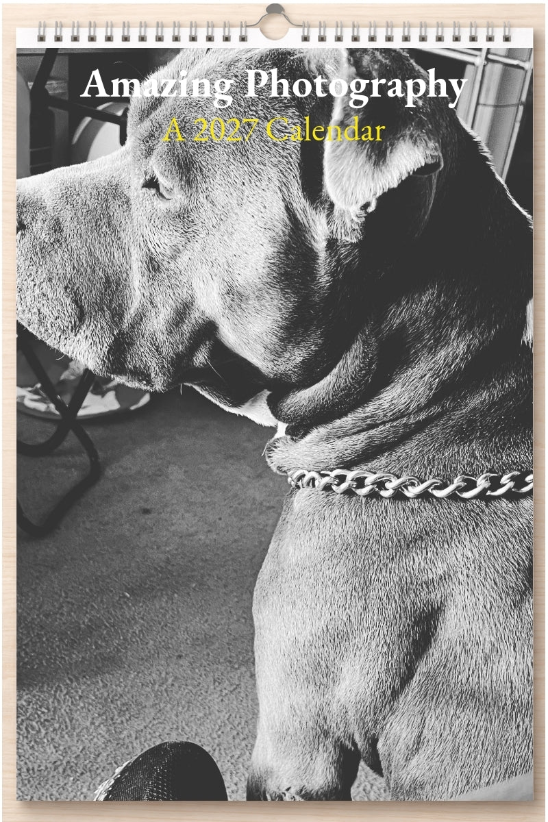 Amazing Photography: A 2027 Calendar