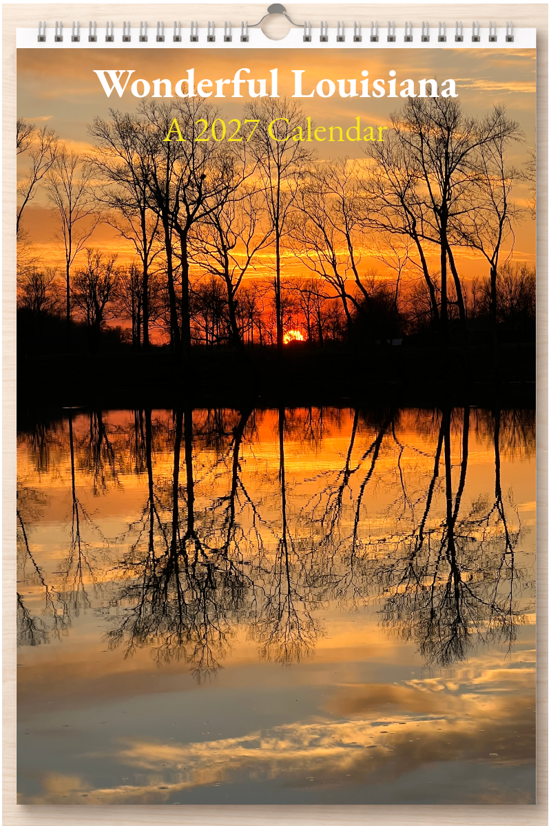 Wonderful Louisiana: A 2027 Calendar
