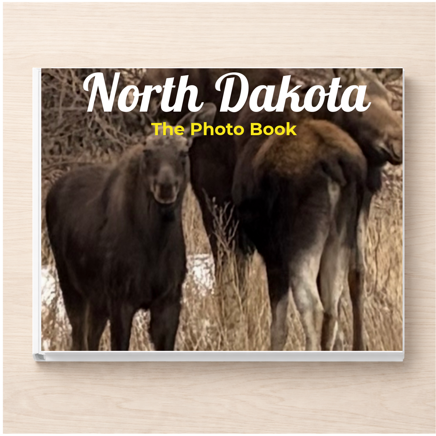 North Dakota: The Photo Book
