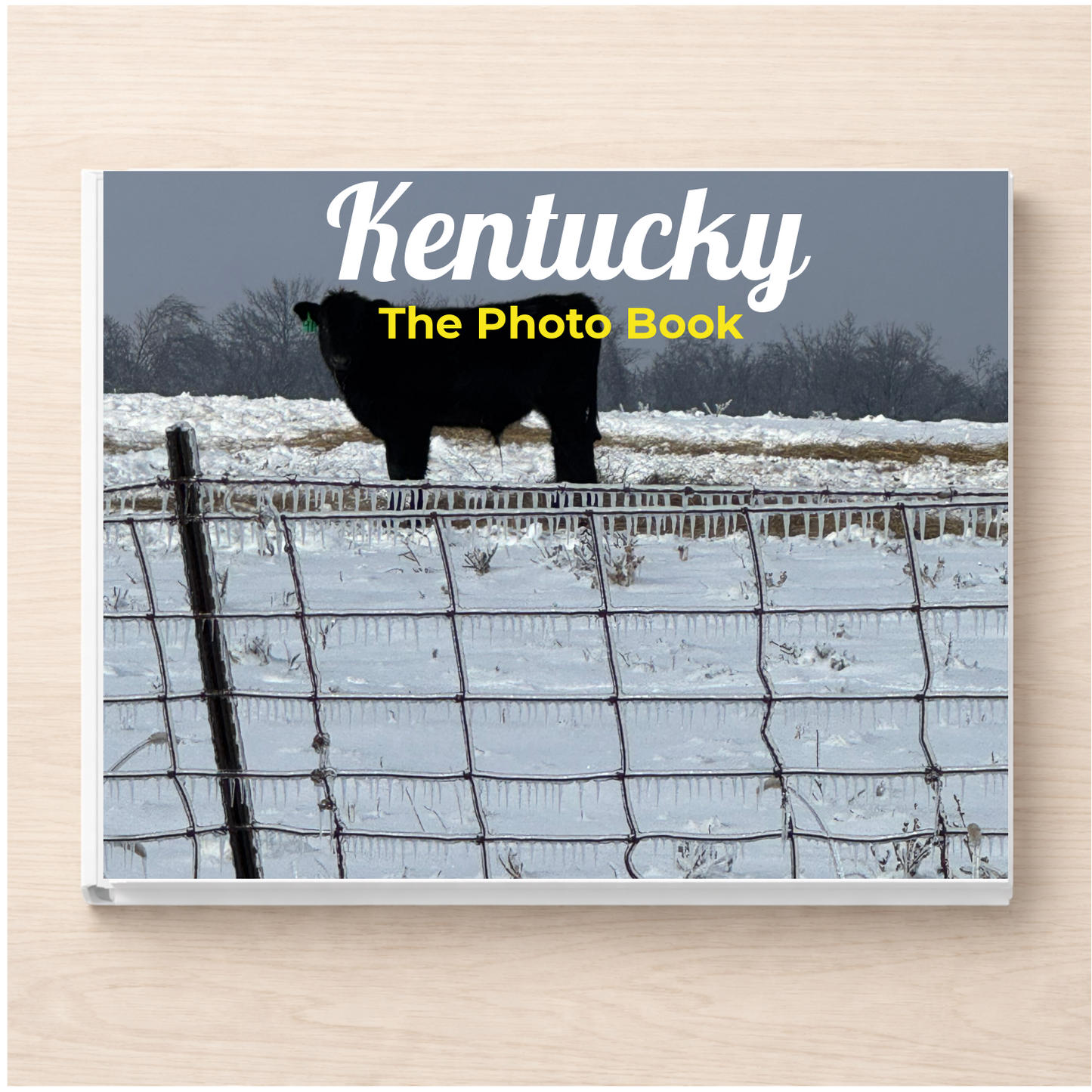 Kentucky: The Photo Book