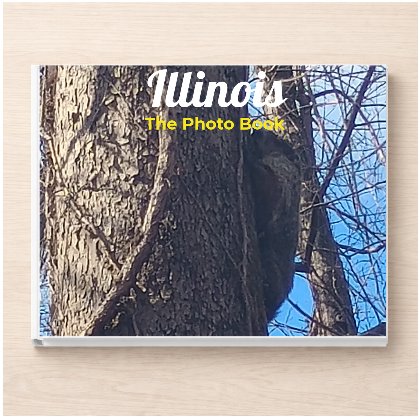 Illinois: The Photo Book