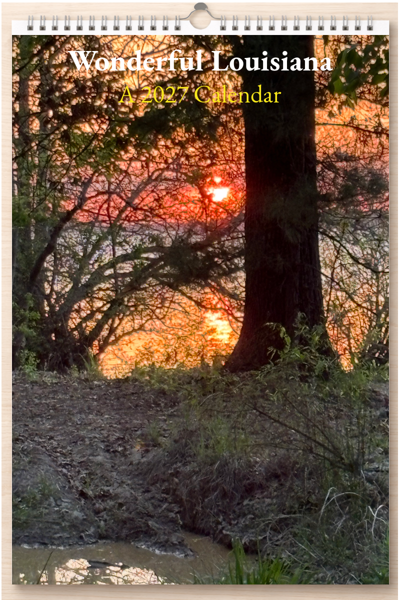 Wonderful Louisiana: A 2027 Calendar