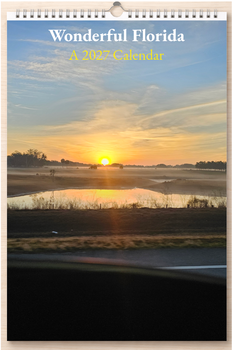 Wonderful Florida: A 2027 Calendar