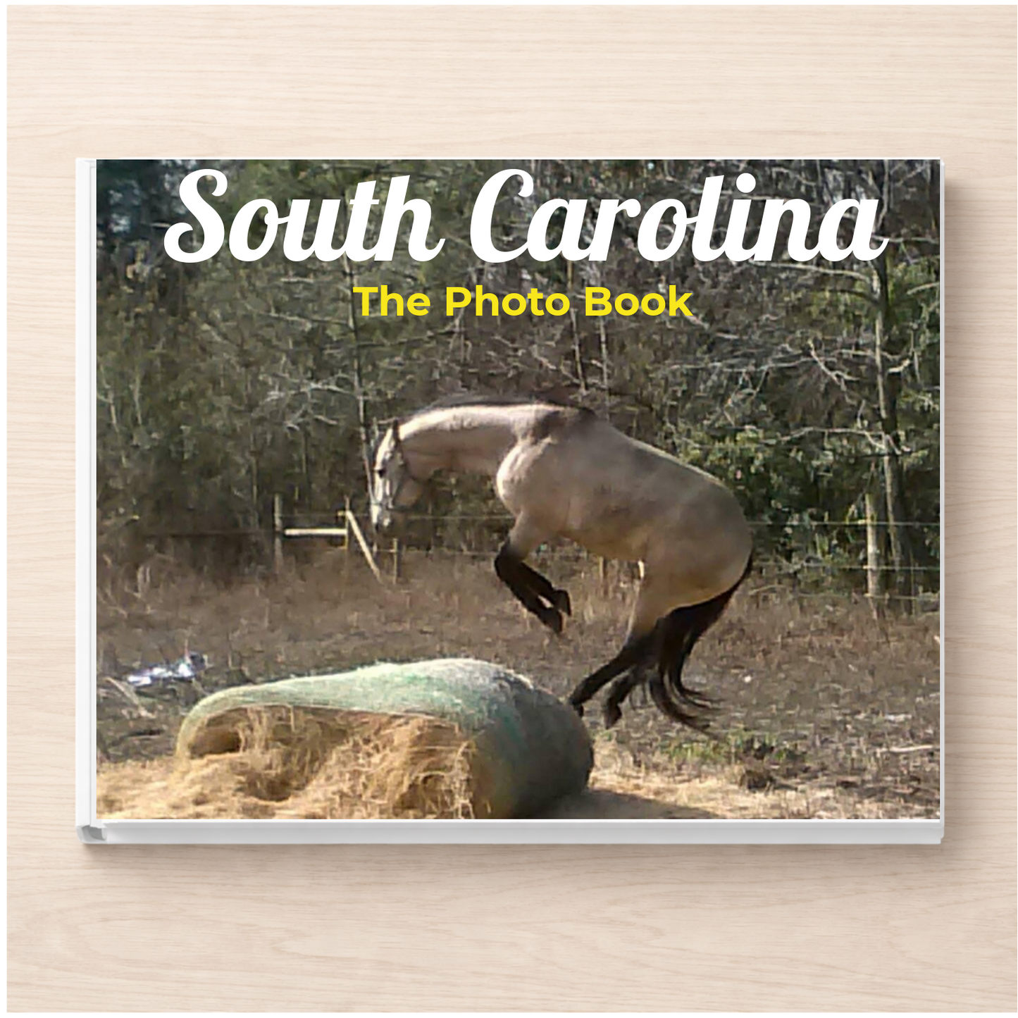South Carolina: The Photo Book