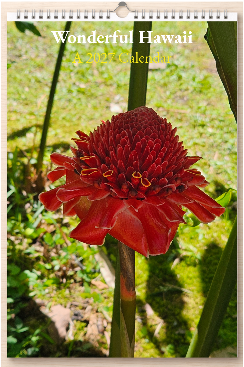 Wonderful Hawaii: A 2027 Calendar