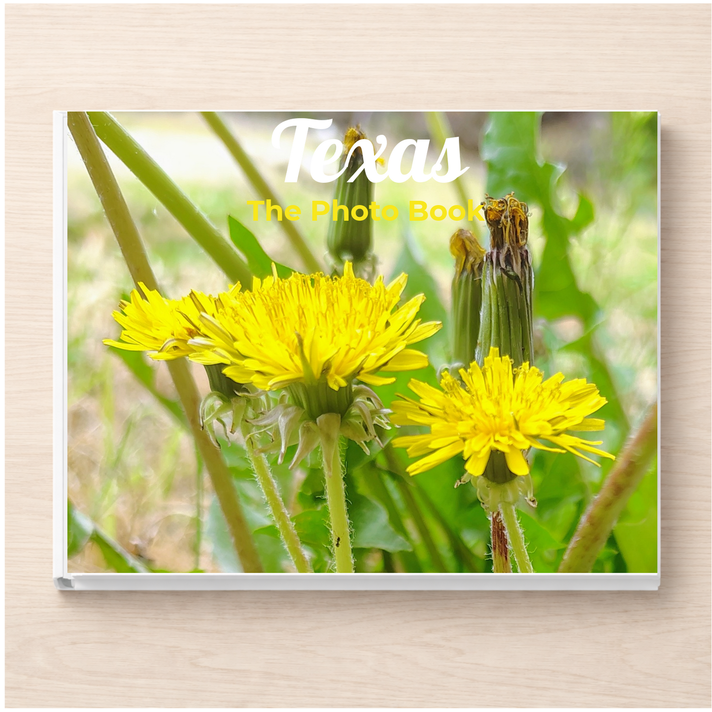 Texas: The Photo Book