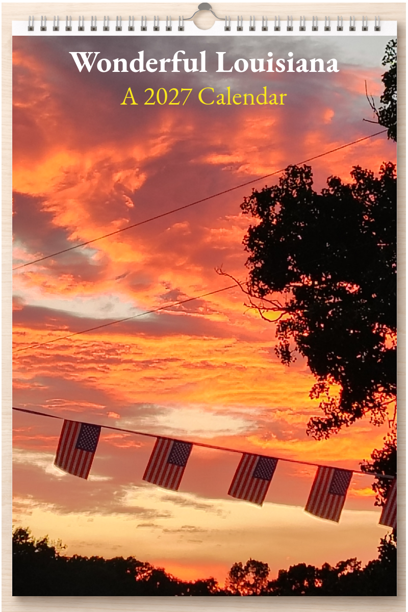 Wonderful Louisiana: A 2027 Calendar