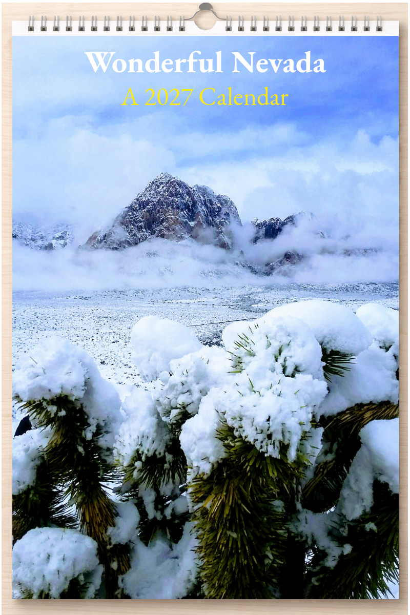Wonderful Nevada: A 2027 Calendar