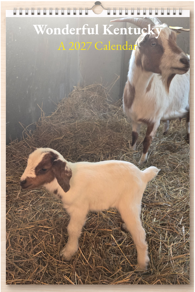 Wonderful Kentucky: A 2027 Calendar