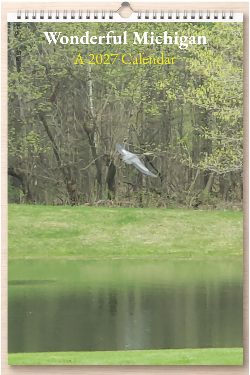 Wonderful Michigan: A 2027 Calendar