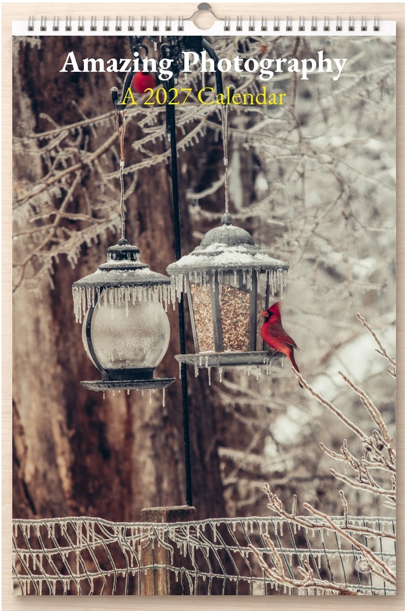 Amazing Photography: A 2027 Calendar