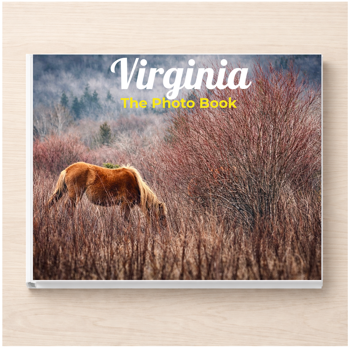 Virginia: The Photo Book