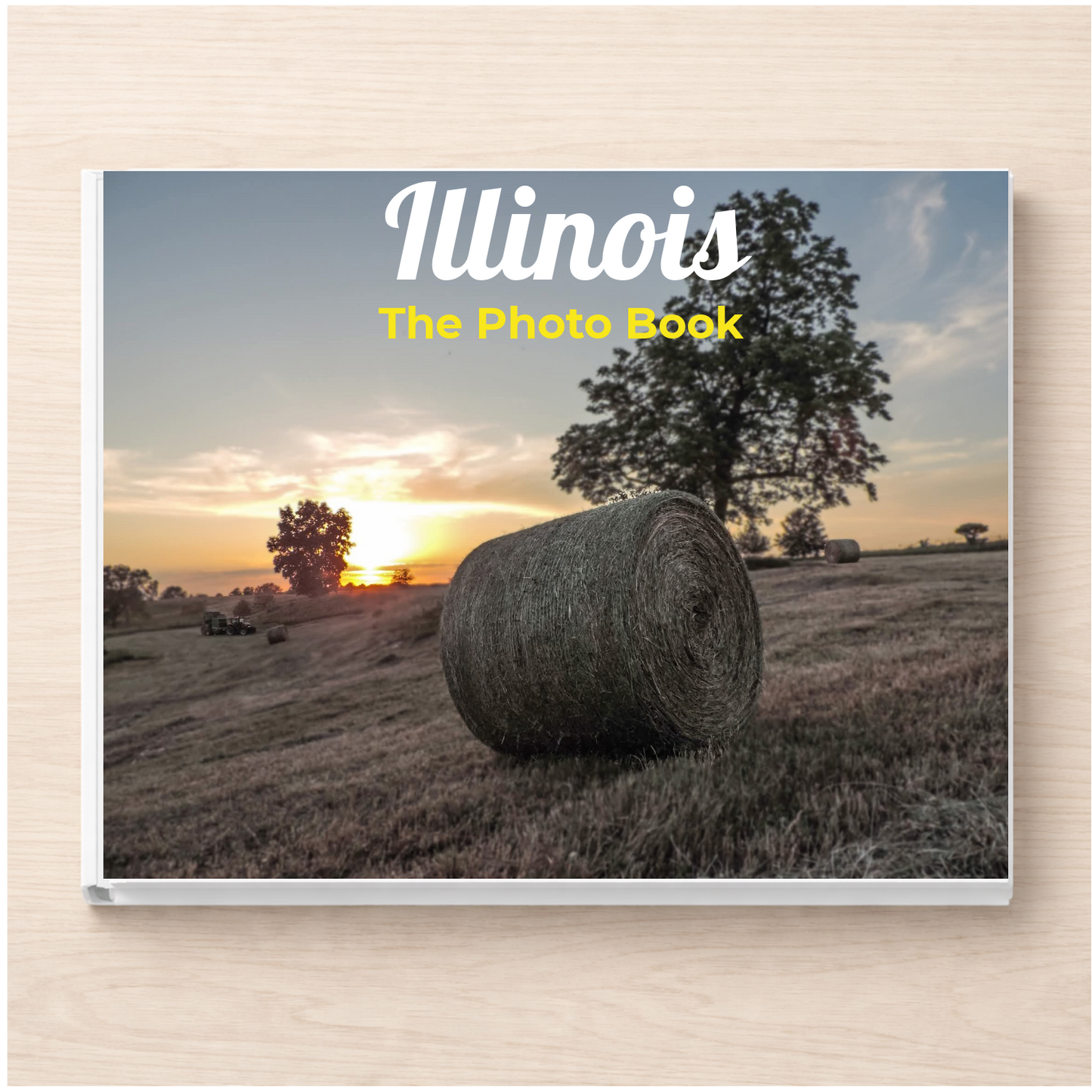 Illinois: The Photo Book