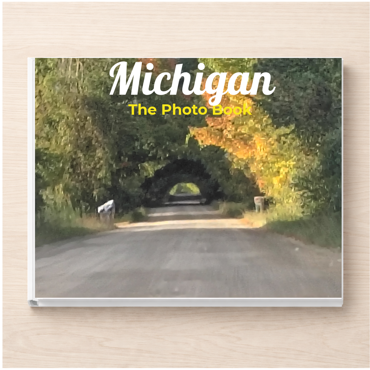 Michigan: The Photo Book