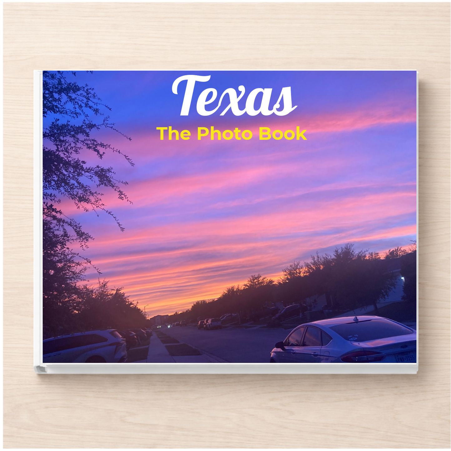 Texas: The Photo Book