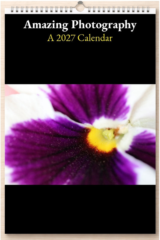 Amazing Photography: A 2027 Calendar