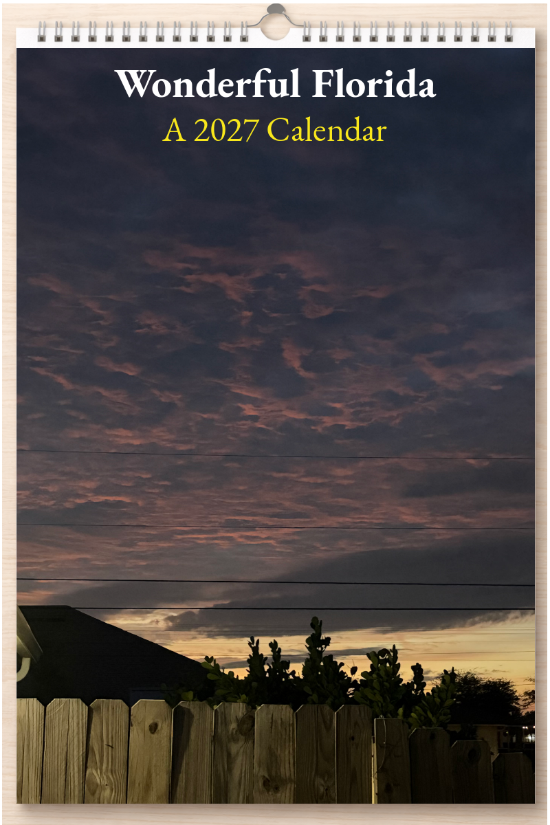Wonderful Florida: A 2027 Calendar