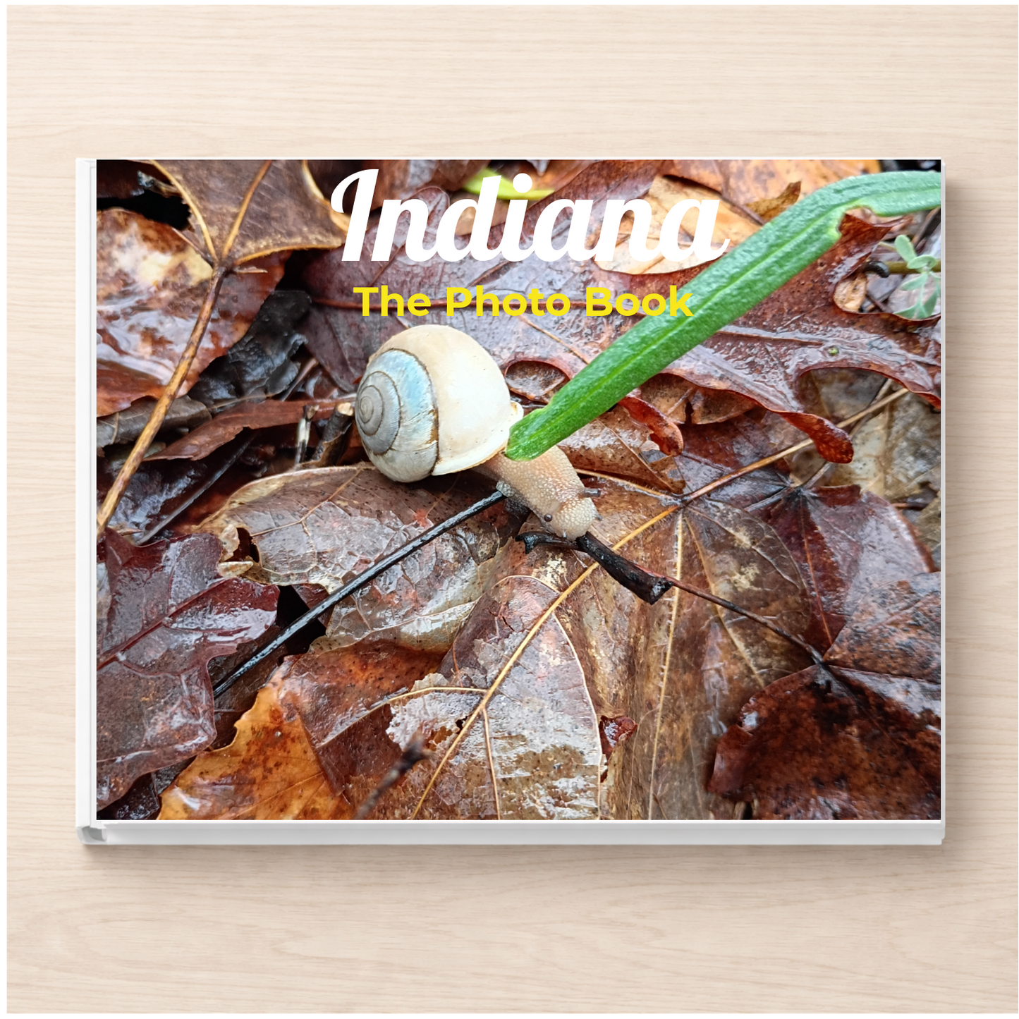 Indiana: The Photo Book