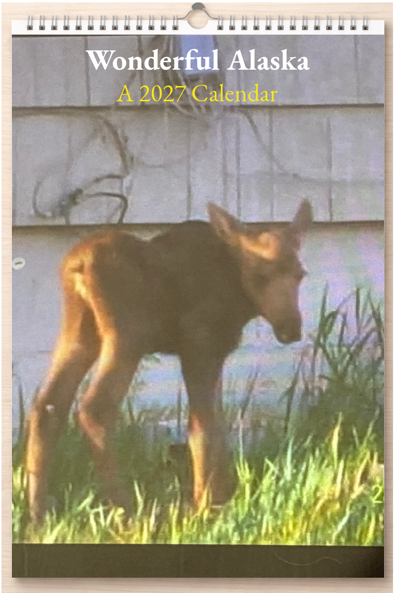 Wonderful Alaska: A 2027 Calendar