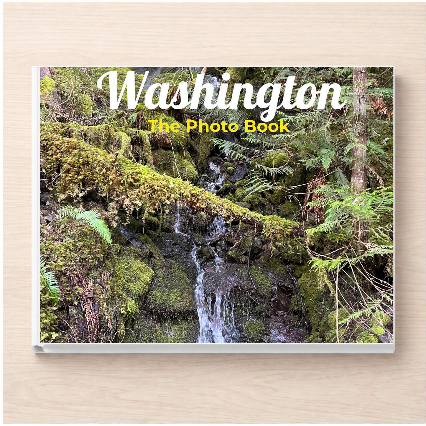 Washington: The Photo Book