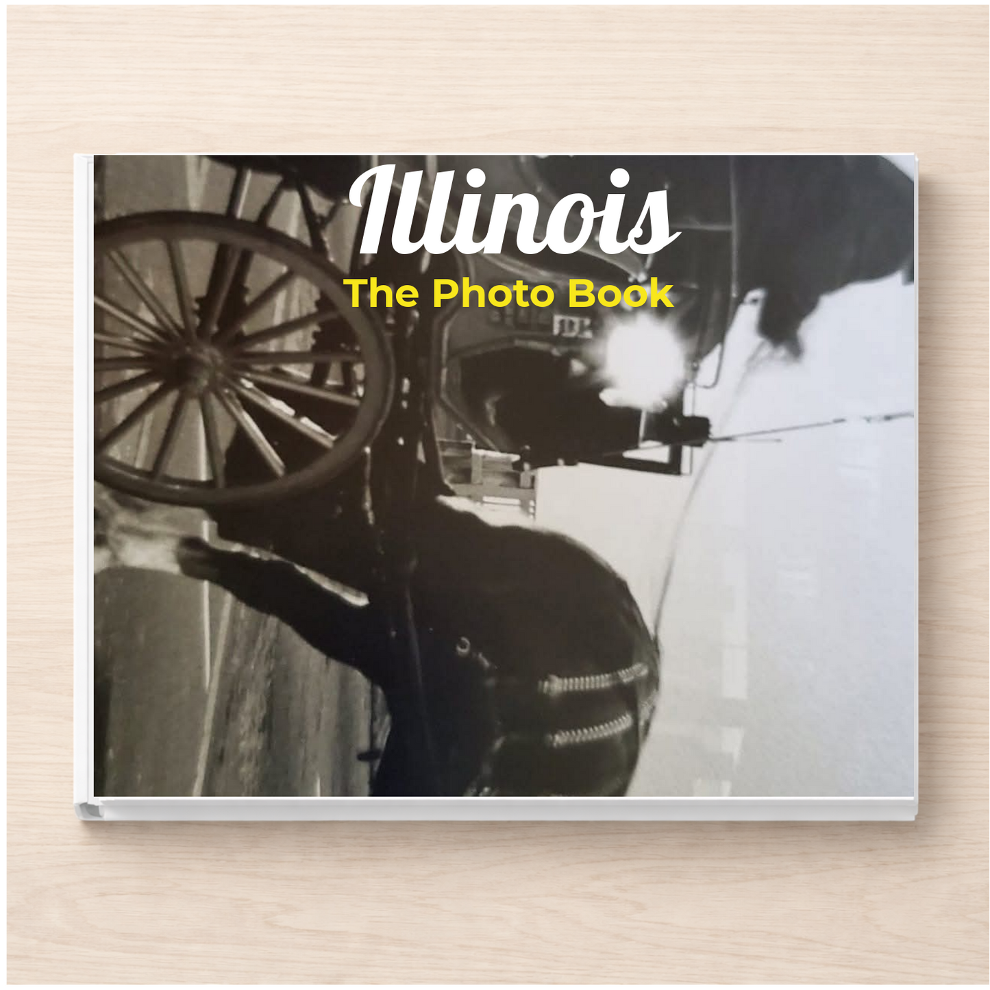Illinois: The Photo Book