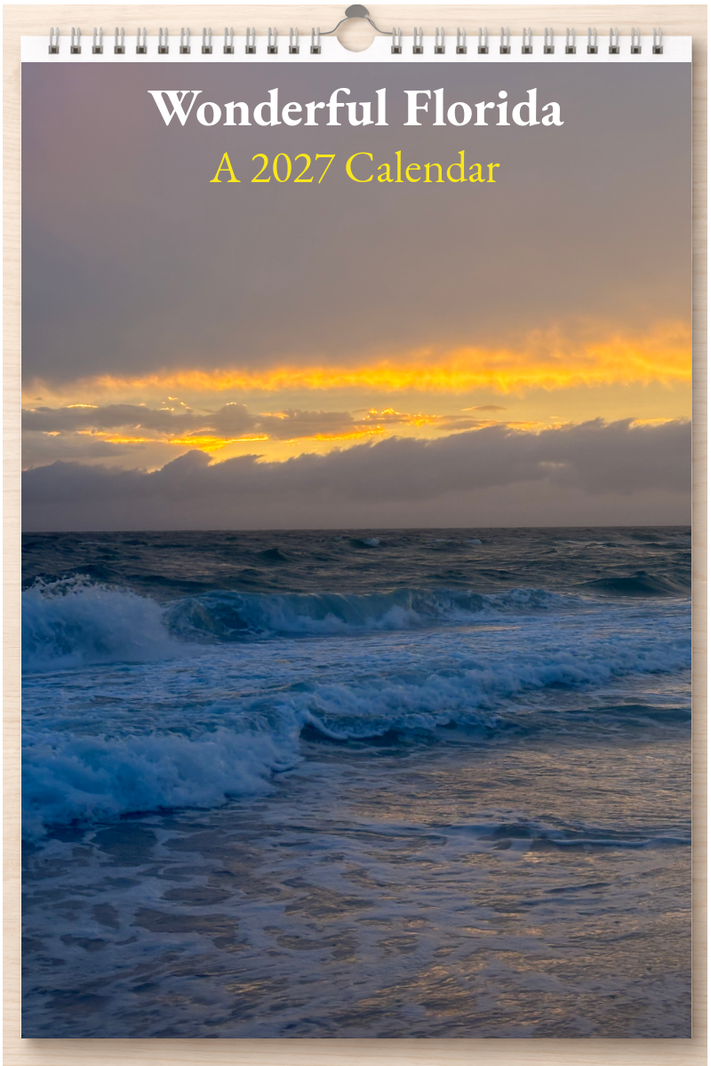 Wonderful Florida: A 2027 Calendar