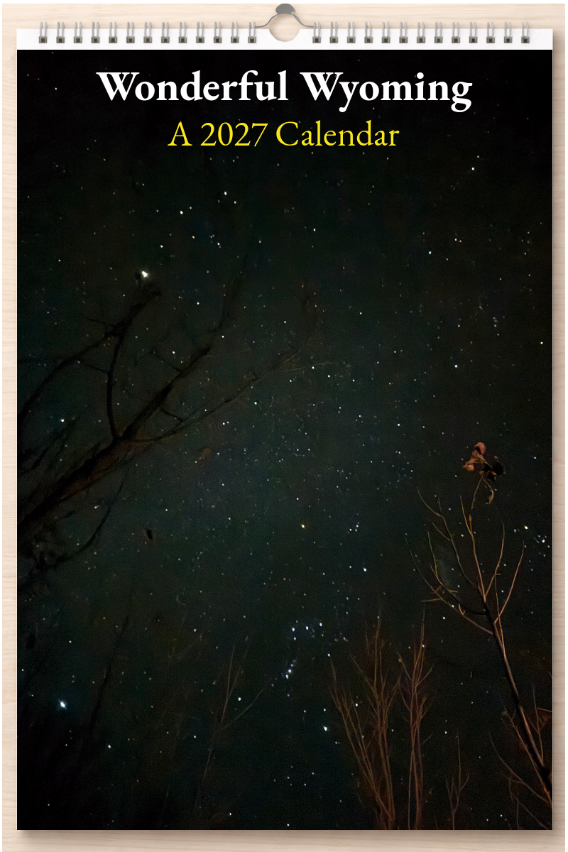 Wonderful Wyoming: A 2027 Calendar