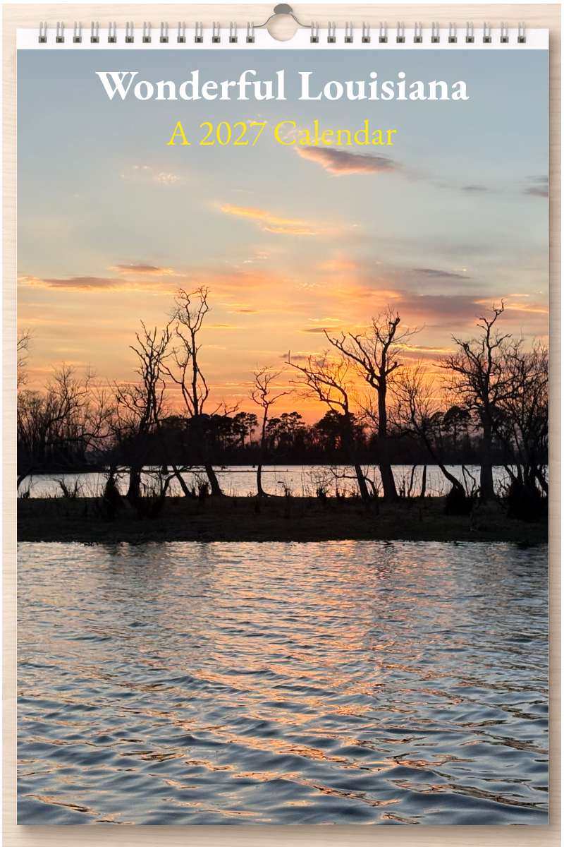 Wonderful Louisiana: A 2027 Calendar