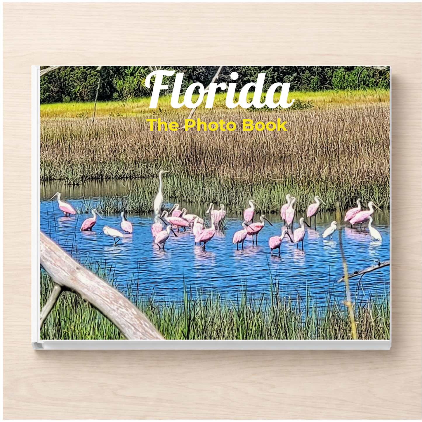 Florida: The Photo Book