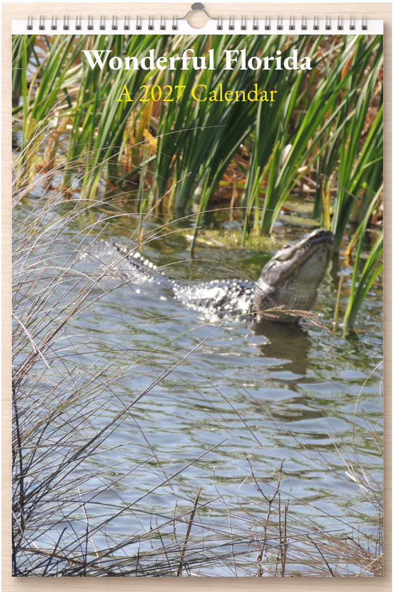 Wonderful Florida: A 2027 Calendar
