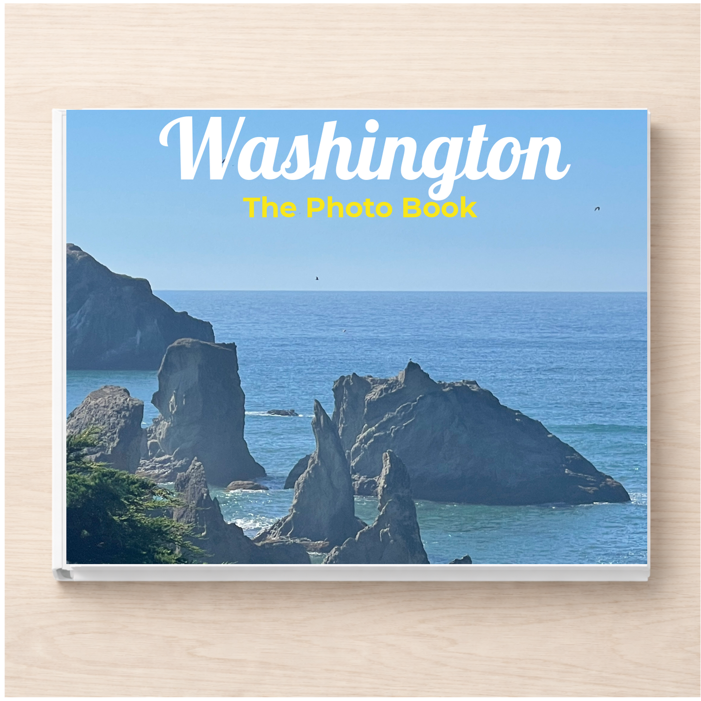 Washington: The Photo Book