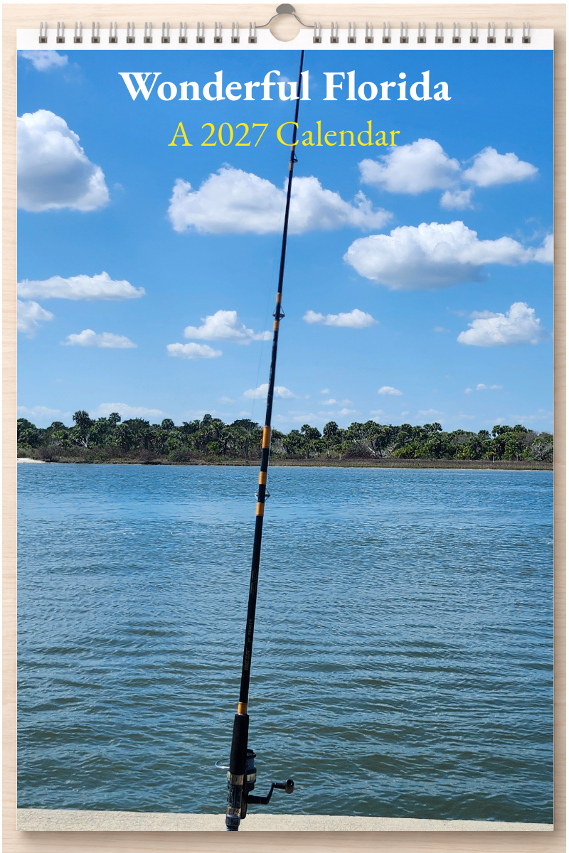 Wonderful Florida: A 2027 Calendar