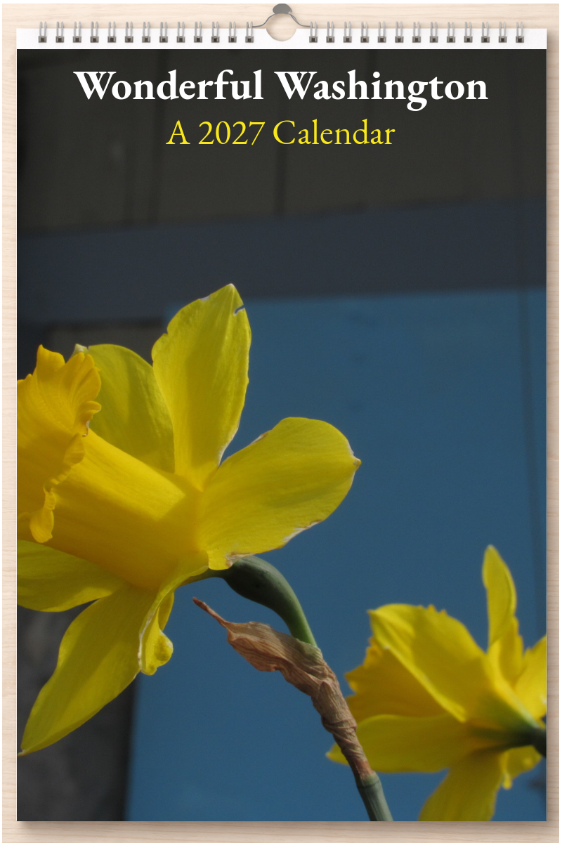 Wonderful Washington: A 2027 Calendar