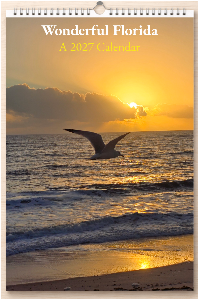Wonderful Florida: A 2027 Calendar