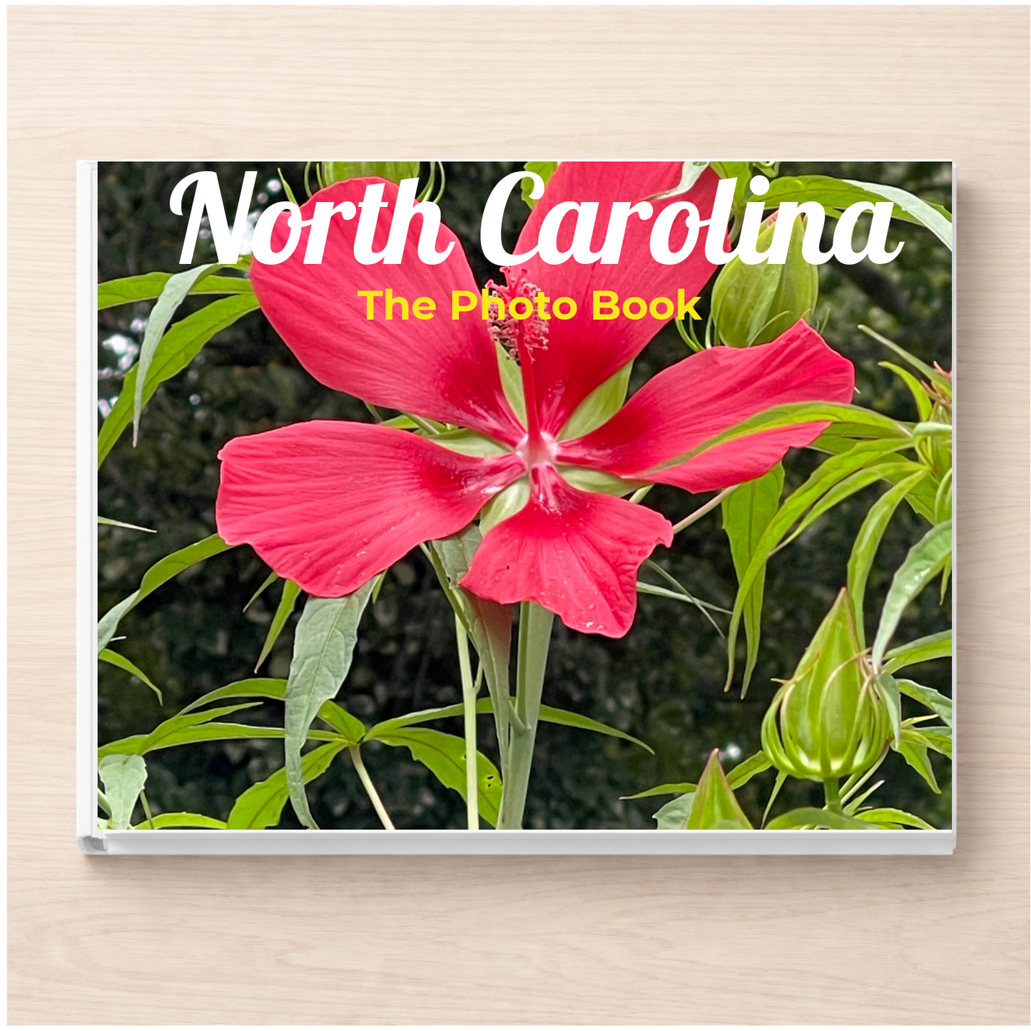 North Carolina: The Photo Book