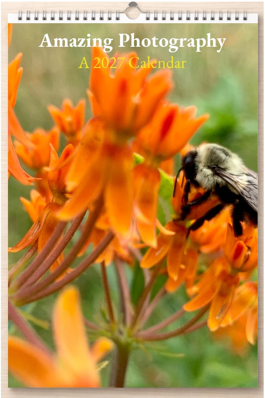 Amazing Photography: A 2027 Calendar